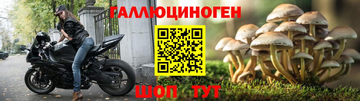 Галлюциногенные грибы прущие грибы Воткинск
